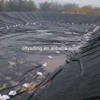 Waterproofing extrusion hdpe geomembrane membranes Used in Pond Liner